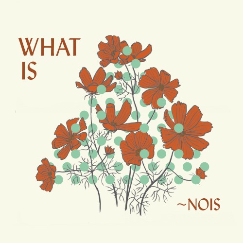 What is ~Nois