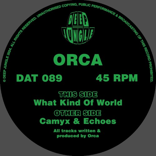 What Kind of World / Camyx / Echoes