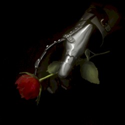 Live and Die (I Just Want to Love)