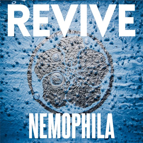 REVIVE