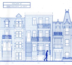 Ornithologie, la nuit