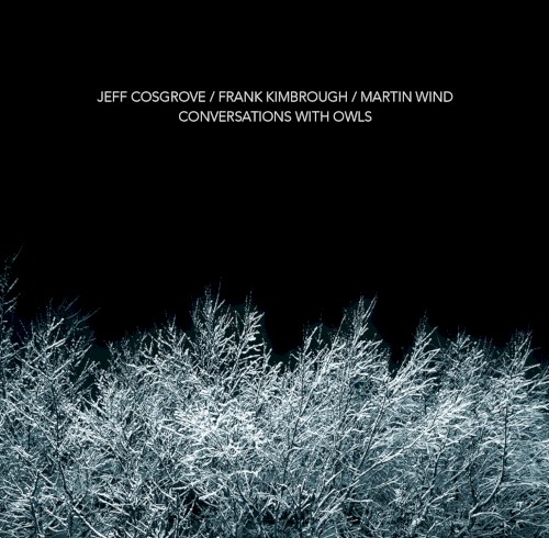 Conversations With Owls