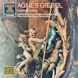 Exsultate Jubilate: Geistliche Musik Von Wolfgang Amadeus Mozart