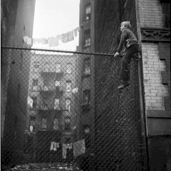 In Memory of a Musician