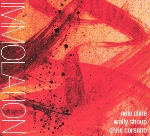 Immolation/Immersion