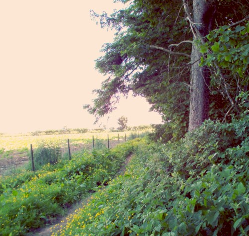 Infinite Tape Loops: The Edge