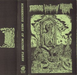 Horrendous Mess of Molten Flesh