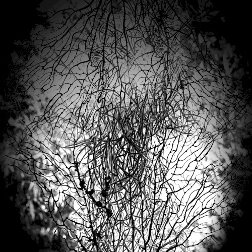 Sonorous Debris