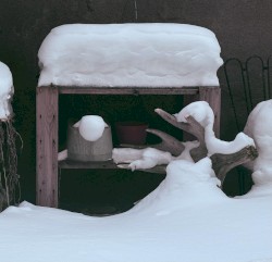 Another Love Song for Winter