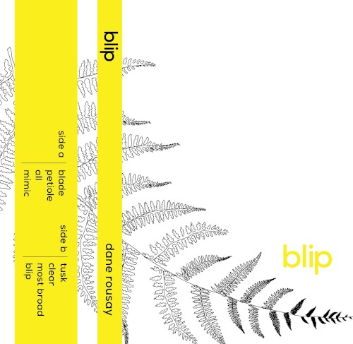 Blip