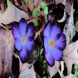 Music for Mental Health Six