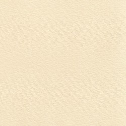 The Difference Engine