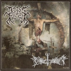 Bliss of Flesh / Bloodhammer
