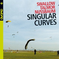 Singular Curves