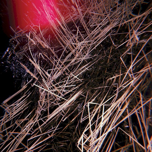 Chain Reaction at Dusk