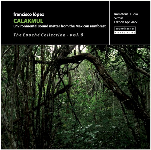 Calakmul: Environmental Sound Matter From the Mexican Rainforest