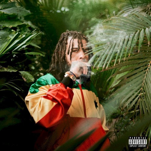 Growth + Development