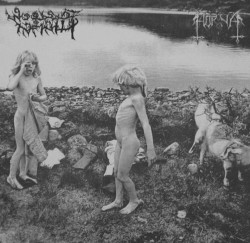 Horna / Woods of Infinity