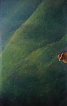 Crystal Arrows for a Cosmic King