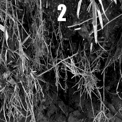 dub miniatures vol.2