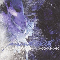 The Opposite of December… A Season of Separation