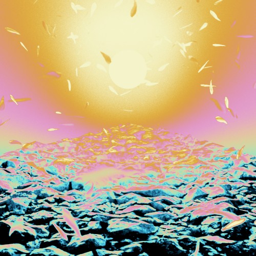 East Dimensional Riddims